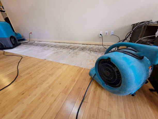 Professional Structural Drying technician working in Summit, WA